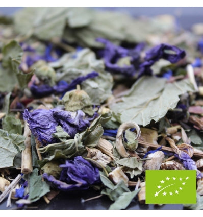 Bientôt le bikini BIO - Infusion détox et perte de poids