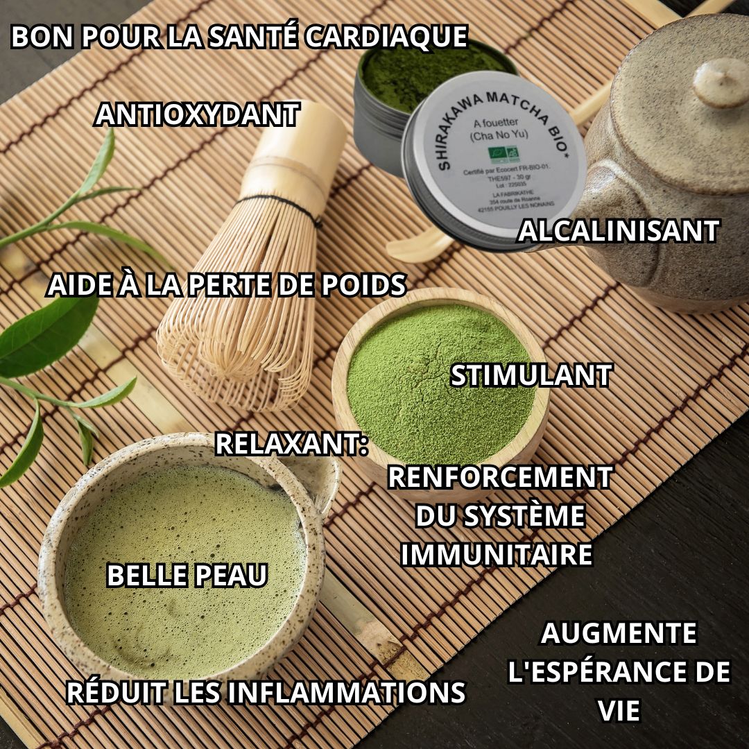 Le matcha: ses bienfaits pour la santé