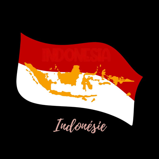 INDONÉSIE
Sumatra Mandheling 