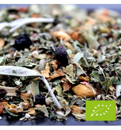 Infusion - Tisane des monts du Forez BIO* - (Loire) Vays Artisan Torréfacteur